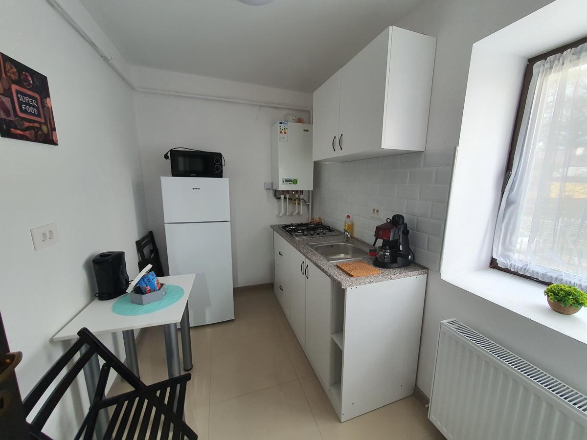 Apartament zona Centru-Copou