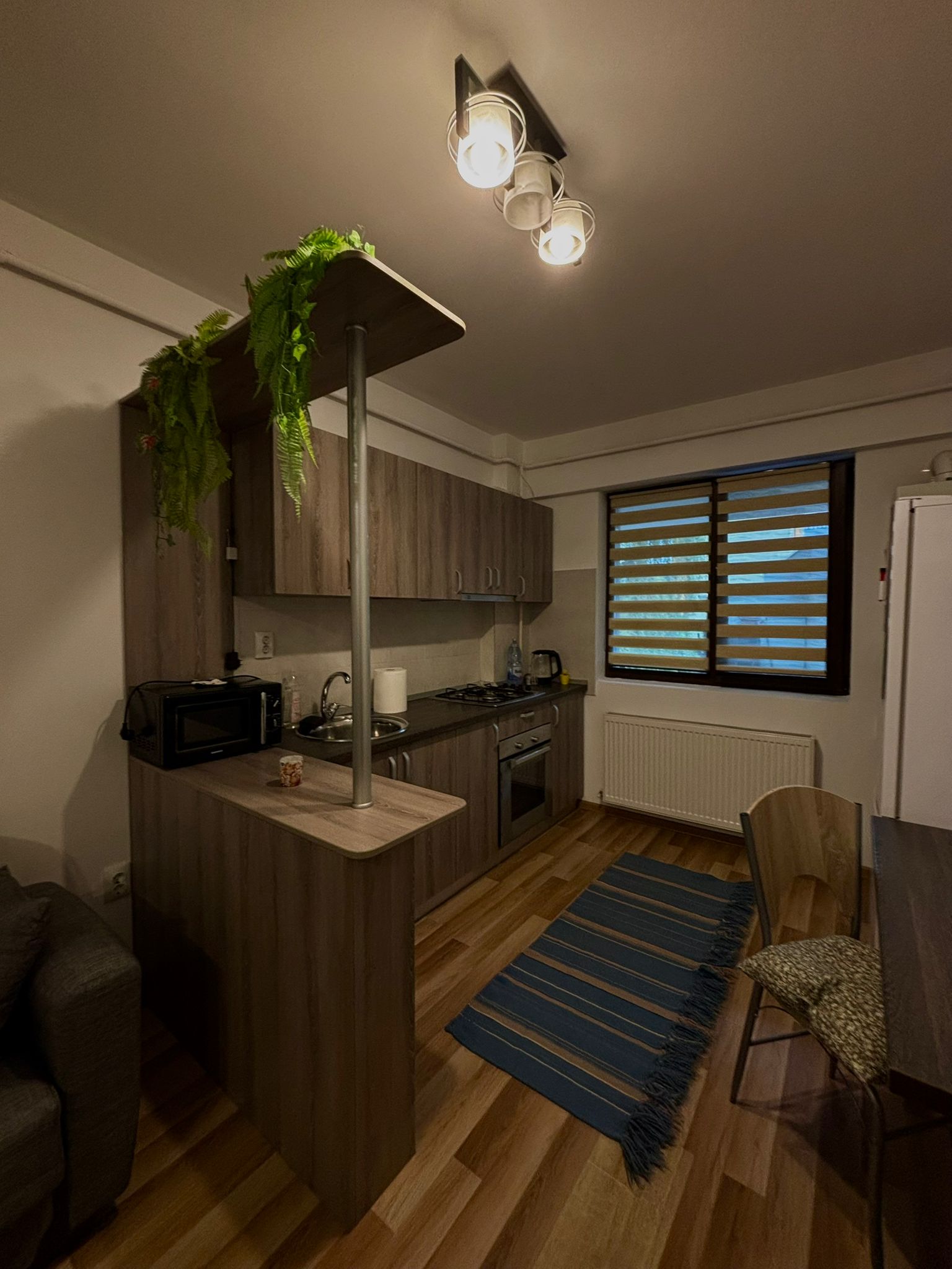 Apartament cu 2 camere Palas Mall